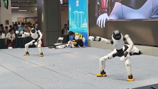 Robot hình người nhảy múa, robot chó gây chú ý tại Trung Quốc