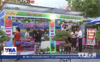 Đà Nẵng phát triển nông nghiệp công nghệ cao theo chuỗi giá trị