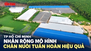Thành phố Hồ Chí Minh nhân rộng mô hình chăn nuôi tuần hoàn hiệu quả