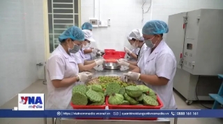 Doanh nghiệp vừa và nhỏ đổi mới sáng tạo