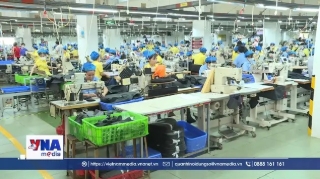 Từ rác đến tài nguyên – Bài học về kinh tế tuần hoàn cho Việt Nam