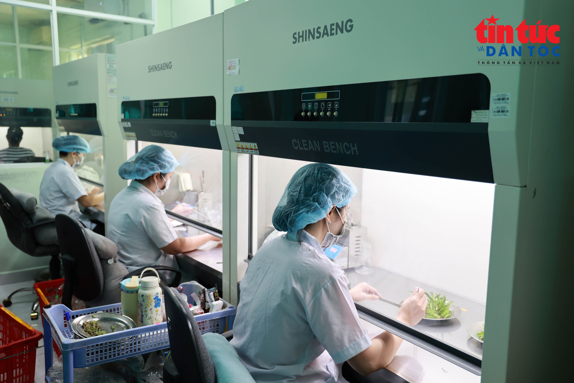 Phòng cấy mô của Trung tâm Nghiên cứu và Phát triển NNCNC thuộc Khu NNCNC TP Hồ Chí Minh. (Ảnh: Mạnh Linh/Báo Tin tức và Dân tộc)