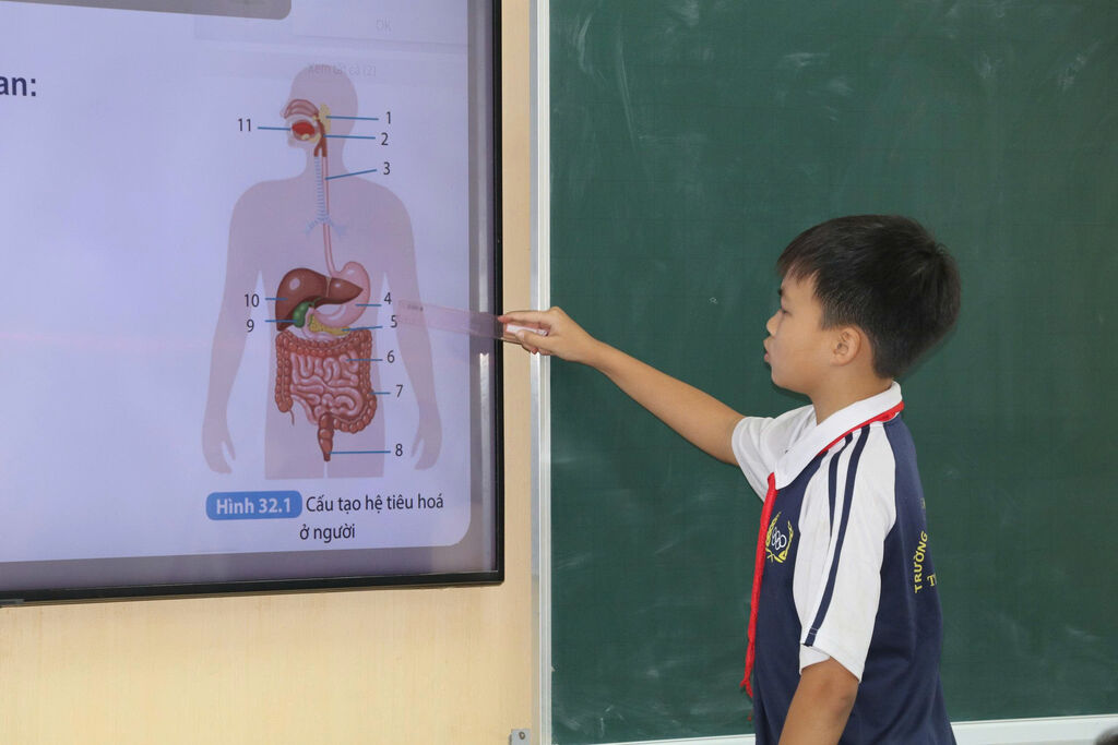 Ứng dụng AI trong giảng dạy tại Trường THCS Trần Đăng Ninh, phường Nam Định góp phần đổi mới phương pháp, nâng cao chất lượng giáo dục. (Ảnh: Thùy Dung/TTXVN) Ứng dụng AI trong giảng dạy tại Trường THCS Trần Đăng Ninh, phường Nam Định góp phần đổi mới phương pháp, nâng cao chất lượng giáo dục. (Ảnh: Thùy Dung/TTXVN)