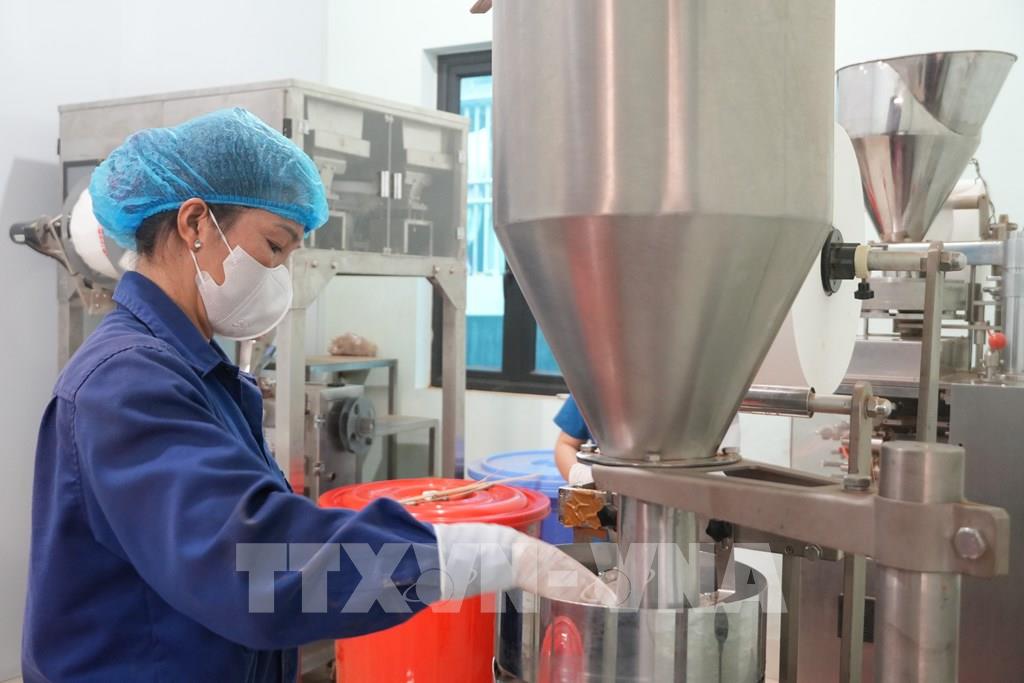 Hệ thống đóng gói trà tự động tại HTX Chế biến nông sản Lụa Vy. (Ảnh: Tiến Vĩnh –TTXVN) Hệ thống đóng gói trà tự động tại HTX Chế biến nông sản Lụa Vy. (Ảnh: Tiến Vĩnh –TTXVN)