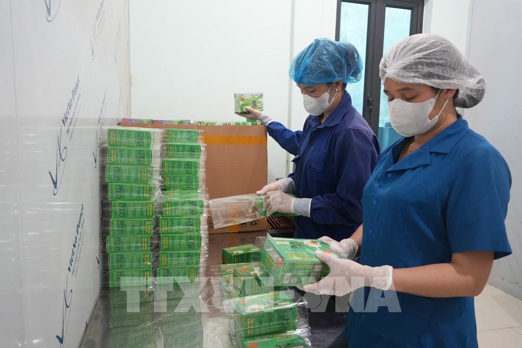 Sản phẩm trà thảo dược được kiểm tra trước khi đưa đi tiêu thụ trên thị trường. (Ảnh: Tiến Vĩnh –TTXVN) Sản phẩm trà thảo dược được kiểm tra trước khi đưa đi tiêu thụ trên thị trường. (Ảnh: Tiến Vĩnh –TTXVN)